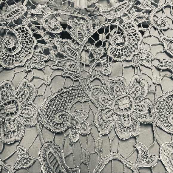 Marina Taupe And Silver Metallic Floral Lace Overlay Dress Sheer Sleeves Sz 12 - Picture 9 of 9